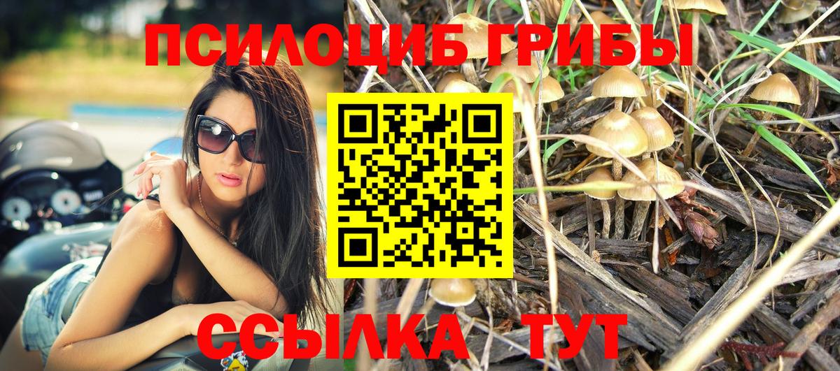 Красноярск  Псилоцибиновые грибы MAGIC MUSHROOMS  Галлюциногенные грибы мицелий  Вход с VPN 